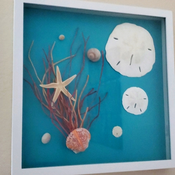 Other - Shell, coral, star fish no973